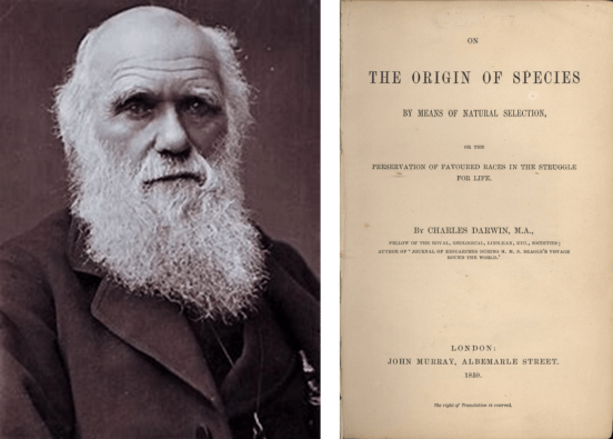 Darwin and Origin of Species